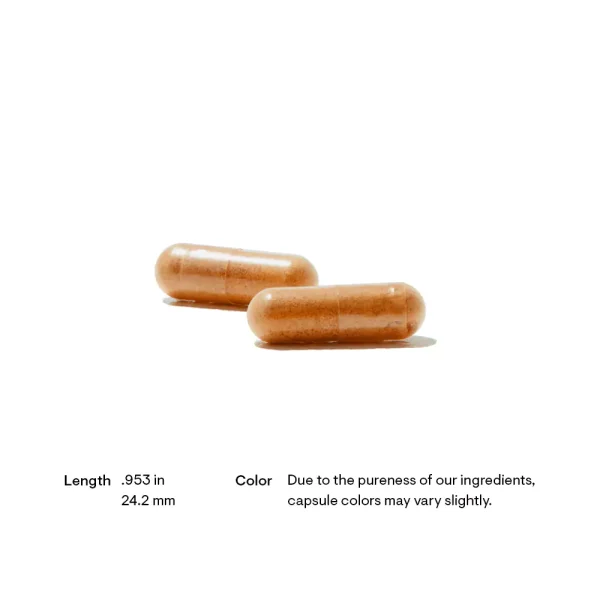 Red Yeast Rice + CoQ10 - Length and Color