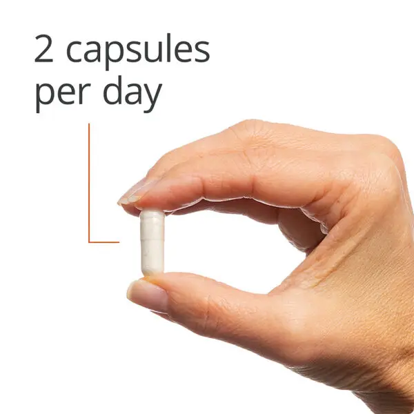 Bone Builder Plus - 2 Caps