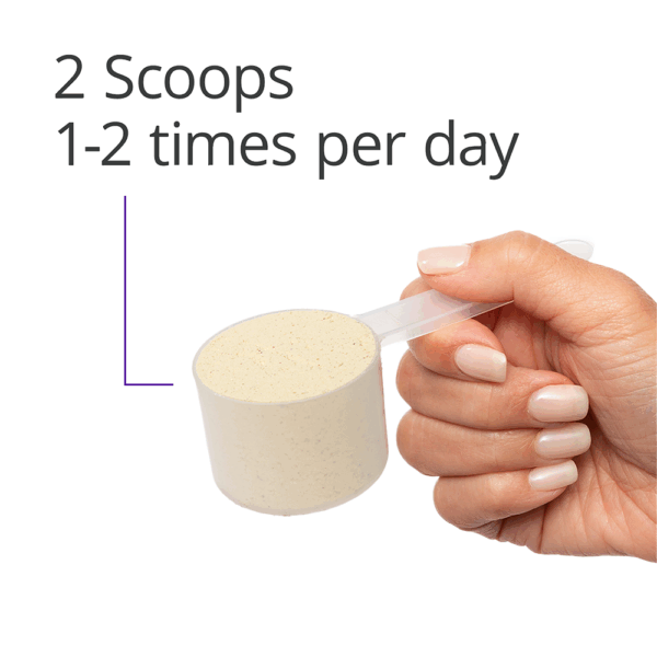 UltraMeal Advanced Protein - FV 2 Scoops