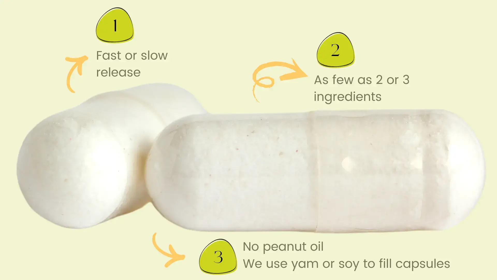 Progesterone Capsule Header