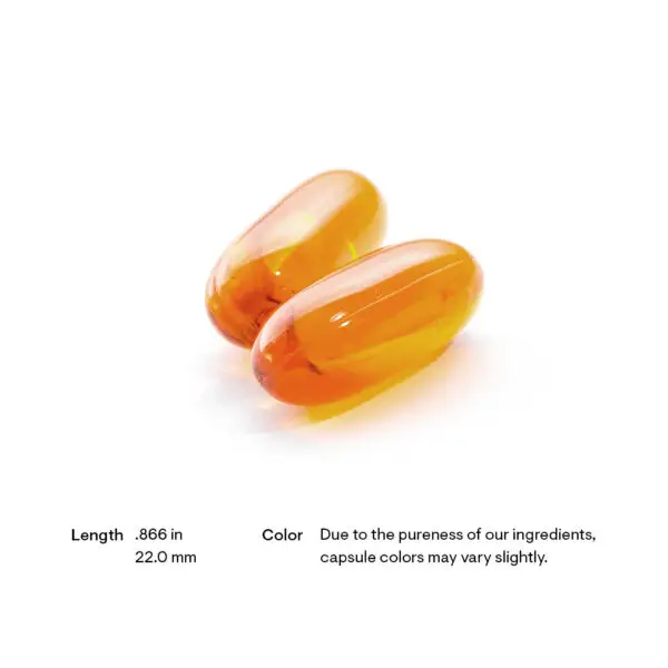 Omega-3 w CoQ10 - Size