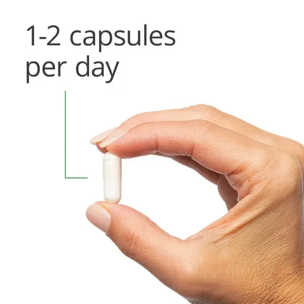 UltraFlora Balance Probiotic - Per Day