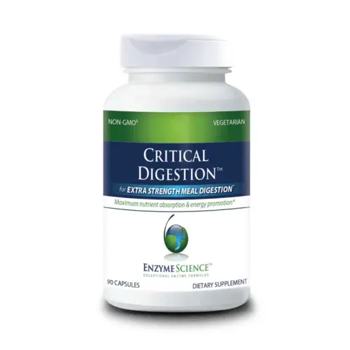 Critical Digestion - 90 Capsules