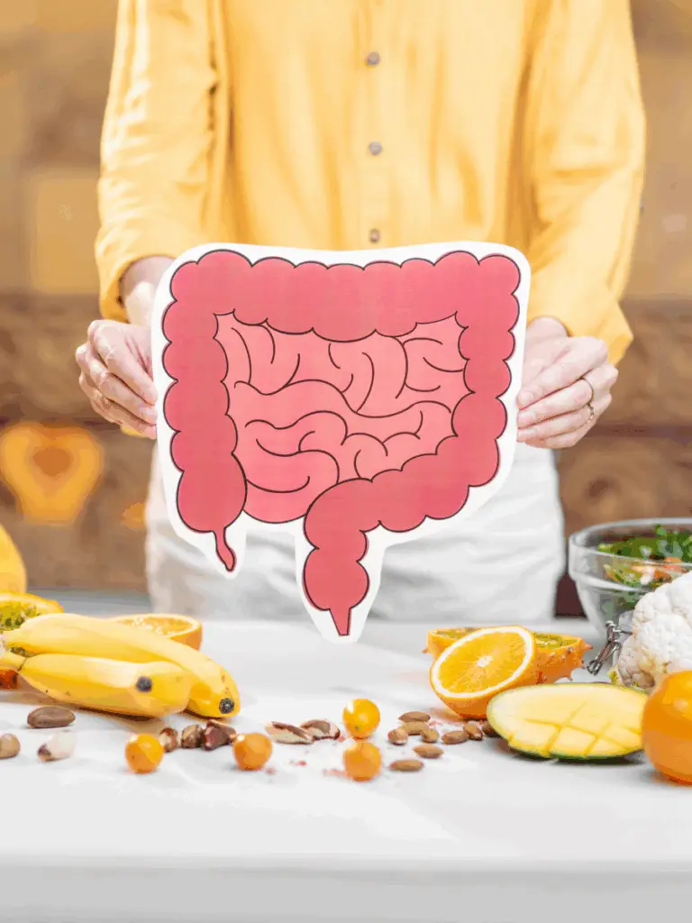 Microflora for Digestion