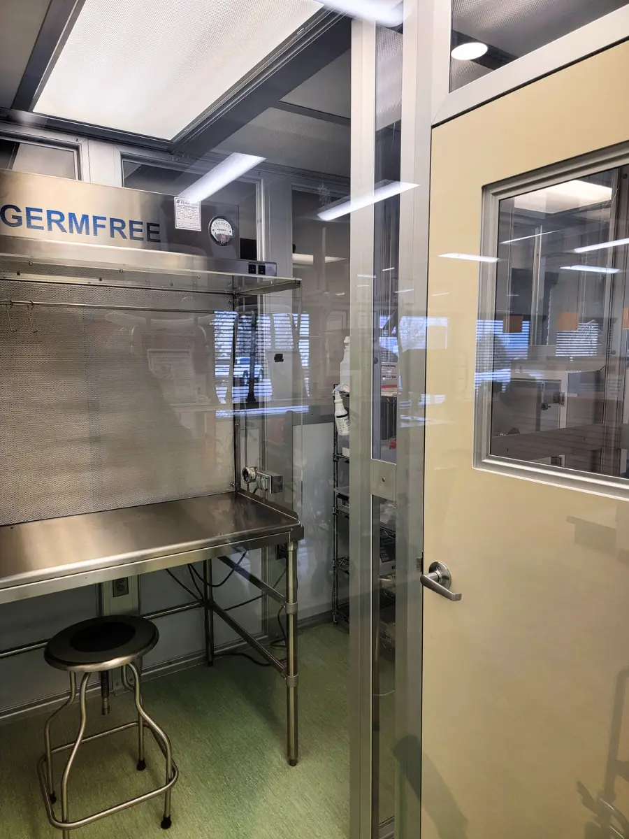 Compounding Under the Hood