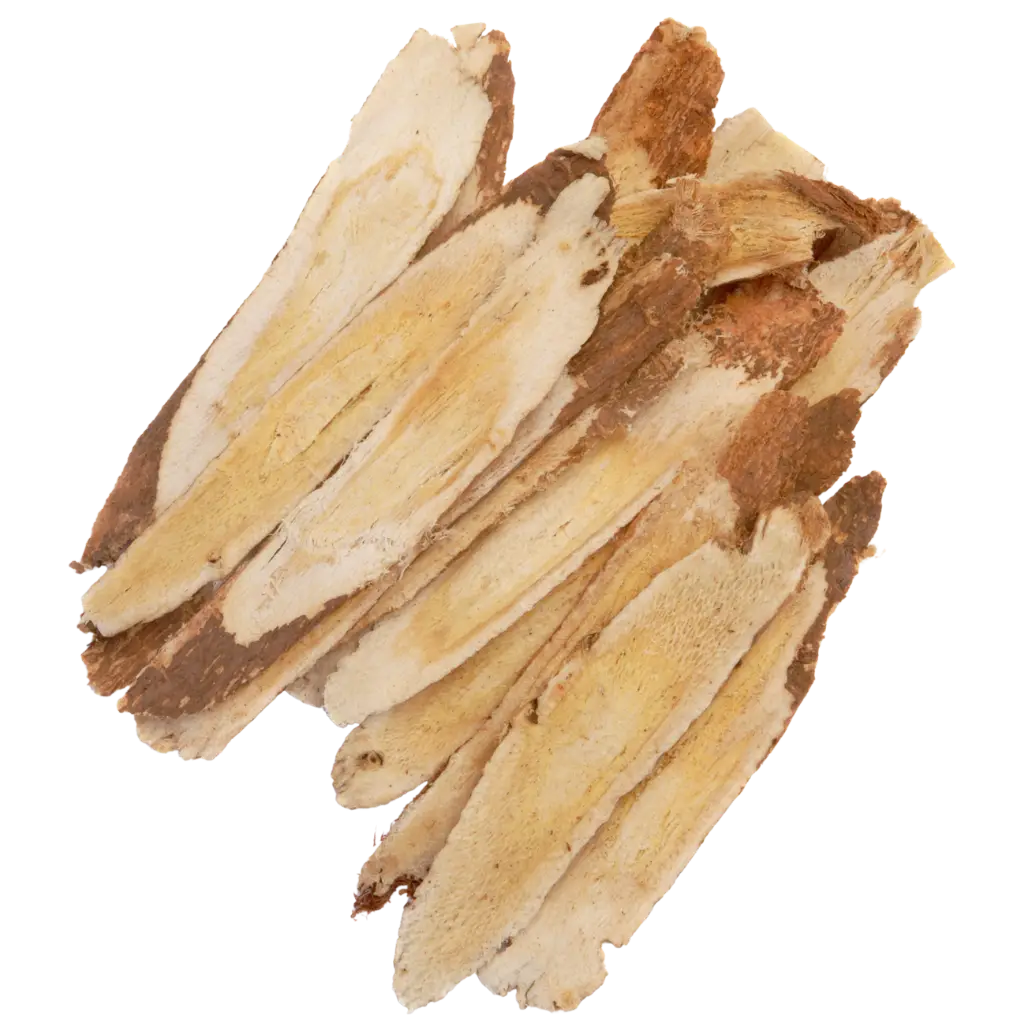 Astragalus membranaceus Root Extract