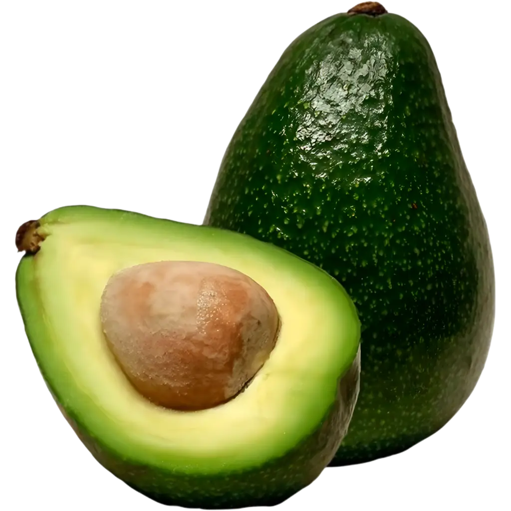 Avocado