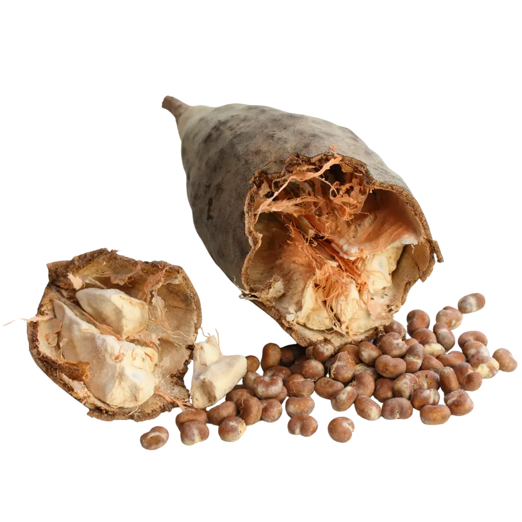 Baobab Fruit