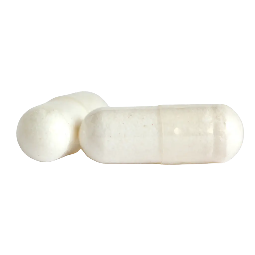 Capsule 1