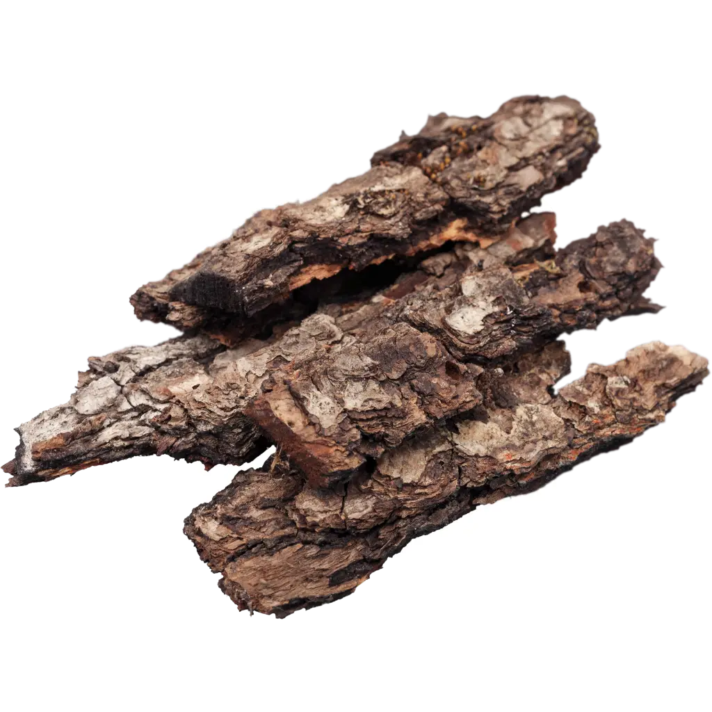 Larch Bark