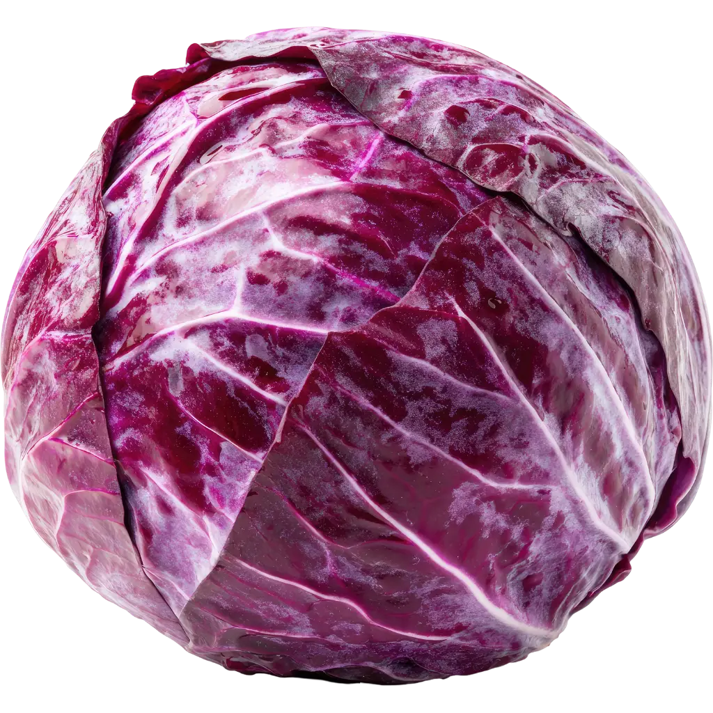 Red Cabbage