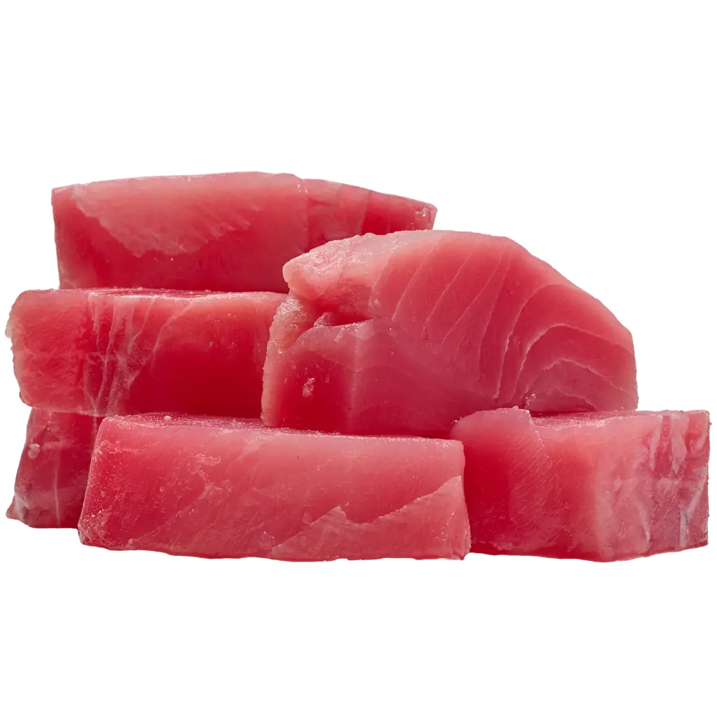 Salmon