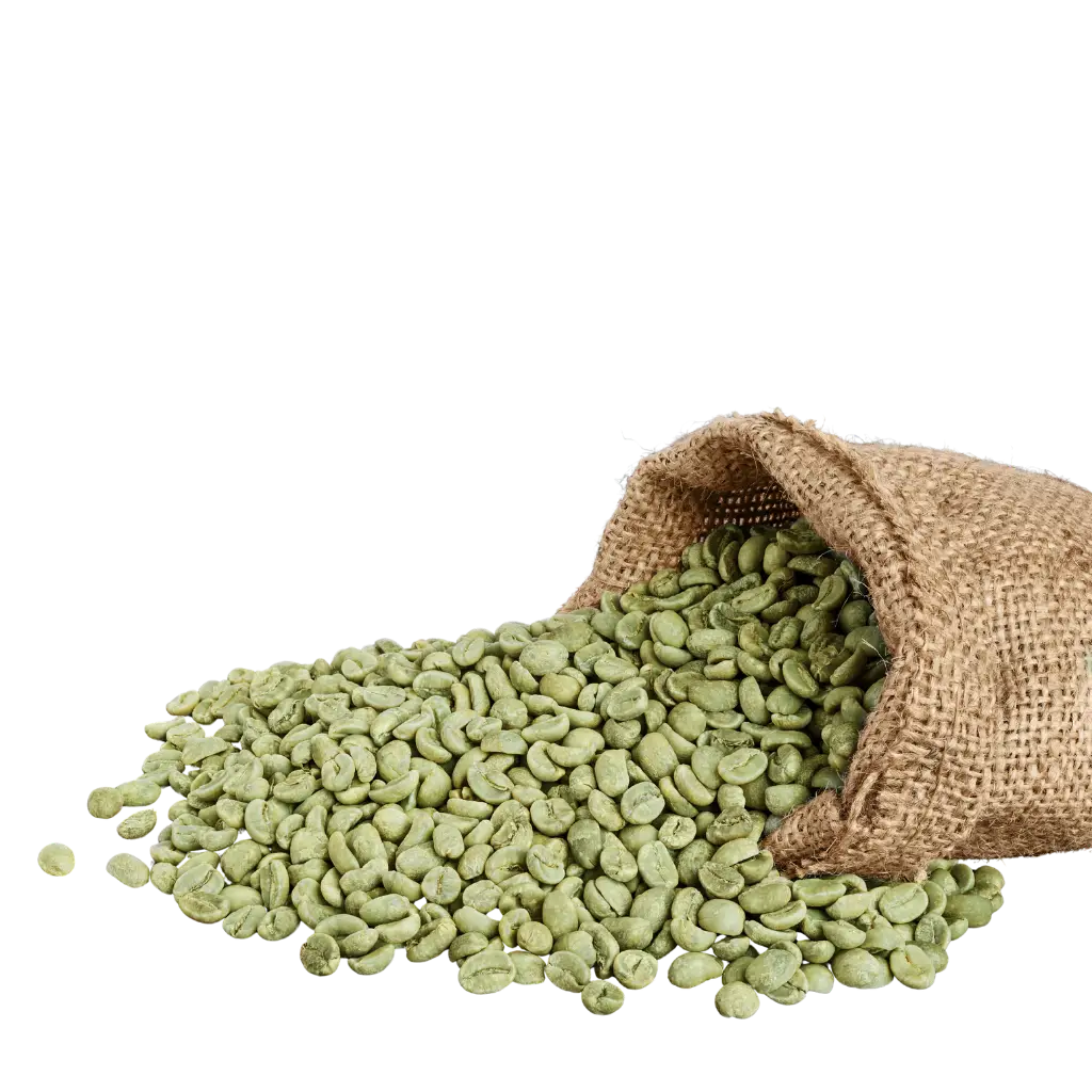 Green Coffee Bean Extract